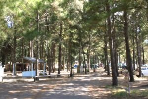 Camping San Gregorio de Polanco