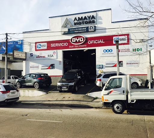 Amaya Motors Propios