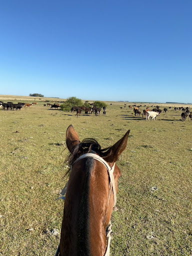 Estancia La Pradera