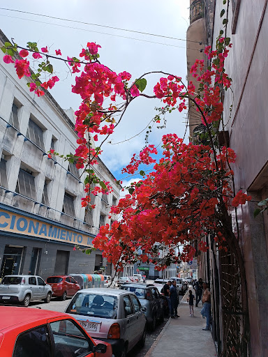 Estacionamiento Bartolome Mitre