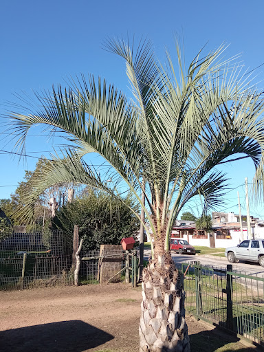 Plaza pública Los Aromos