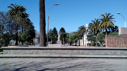 Plaza gallinal