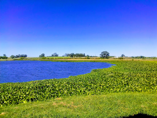 Lago Artificial - Parque Tomás Berreta