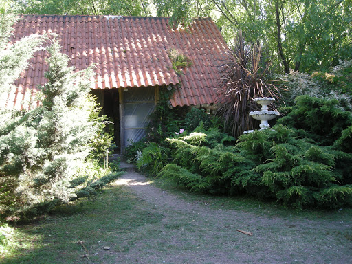Vivero Russi
