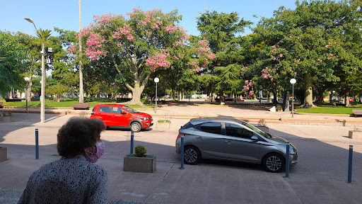 Agencia CITA