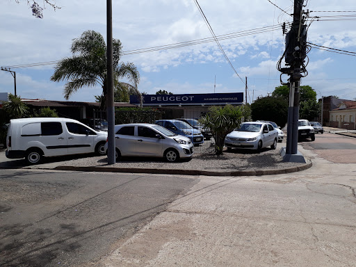 Alejandro Automóviles Fiat