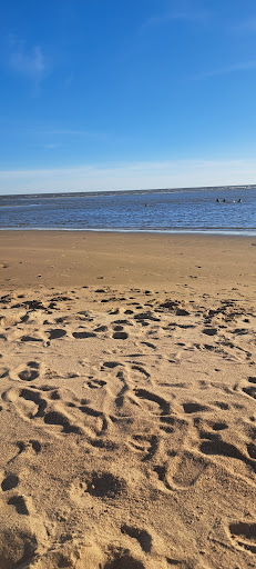 Playa Villa Pancha