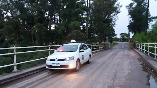 Taxi Don Florentino 24 Horas